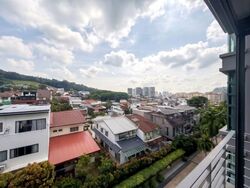 Hilltop Grove (D23), Condominium #588300931